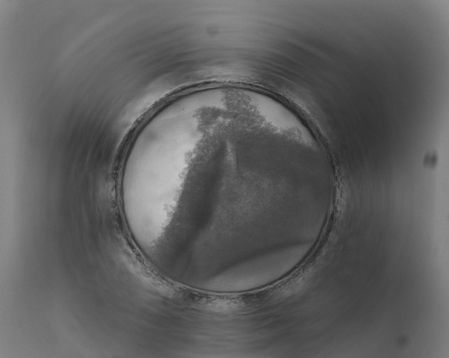 X0000112431074200908281857