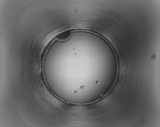 X0000112431075200908281857