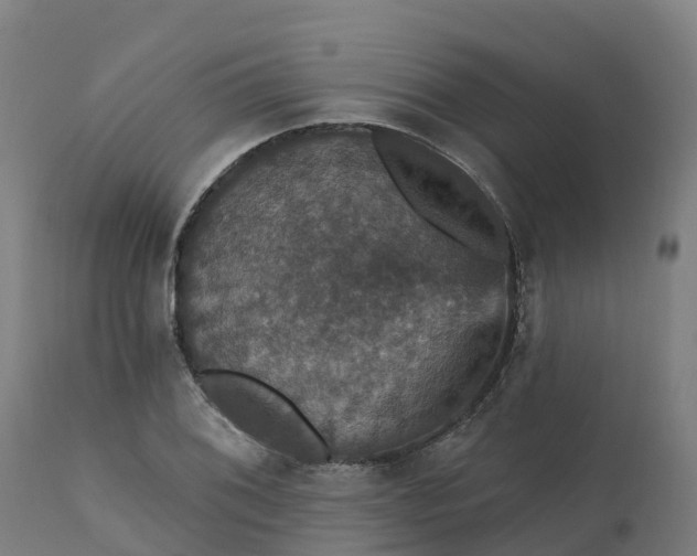 X0000112431076200908281857