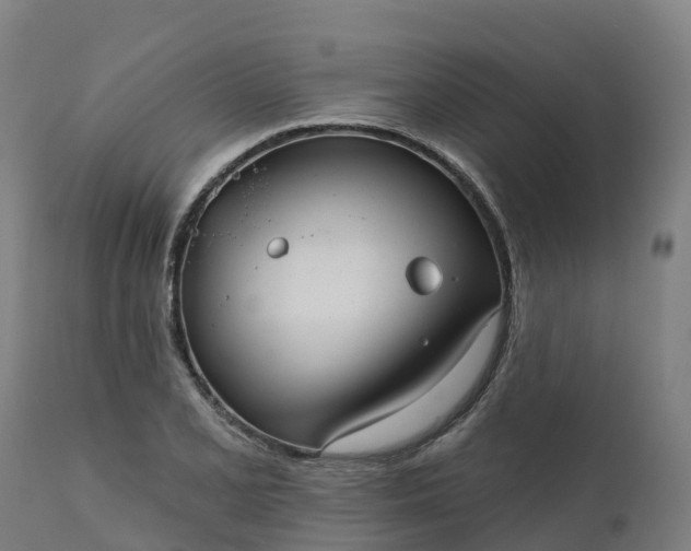 X0000112431077200908281857