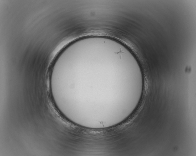 X0000112431078200908281857