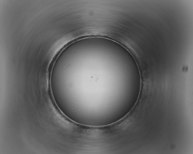 X0000112431079200908281857