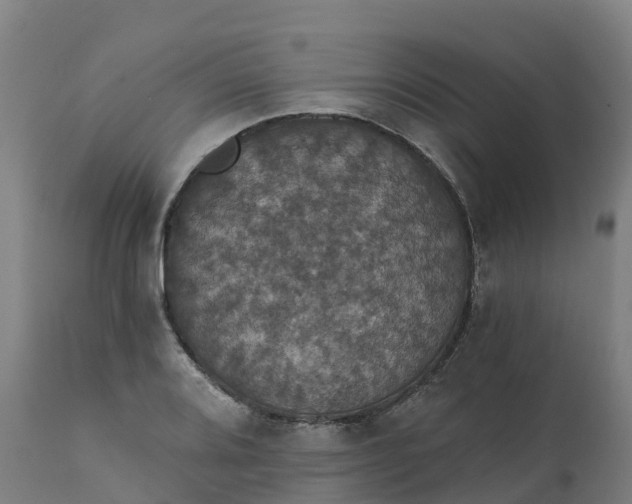 X0000112431080200908281857