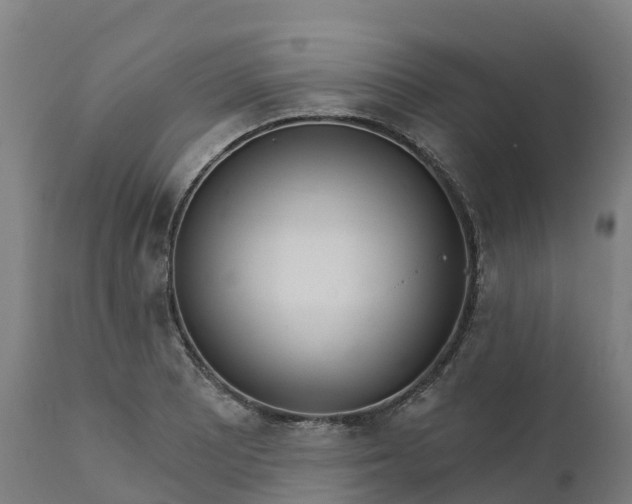 X0000112431081200908281857