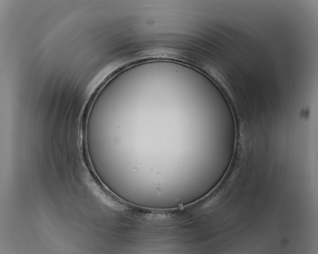 X0000112431082200908281857