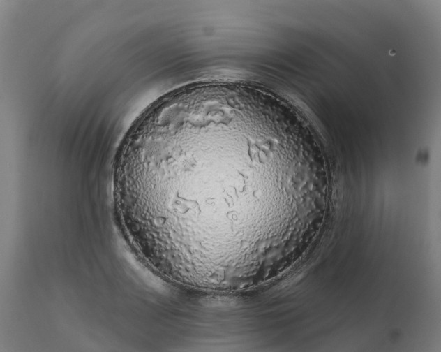 X0000112431083200908281857