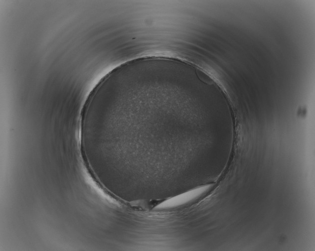 X0000112431084200908281857