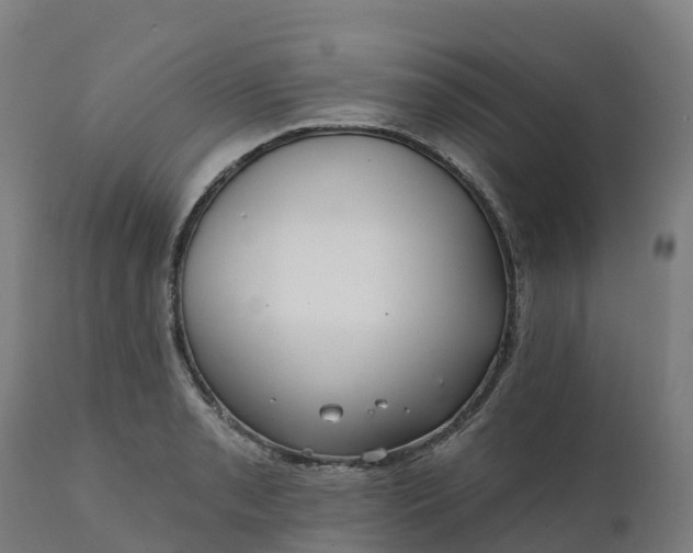 X0000112431085200908281857