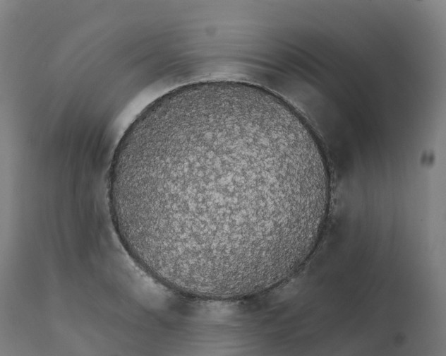 X0000112431086200908281857