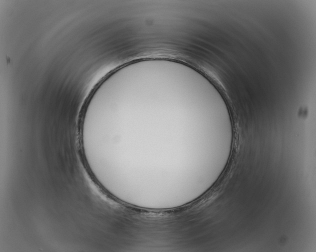 X0000112431087200908281857