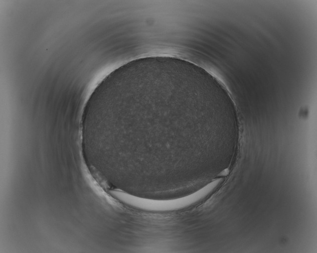 X0000112431088200908281857