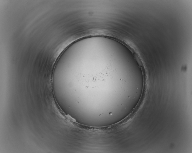 X0000112431089200908281857