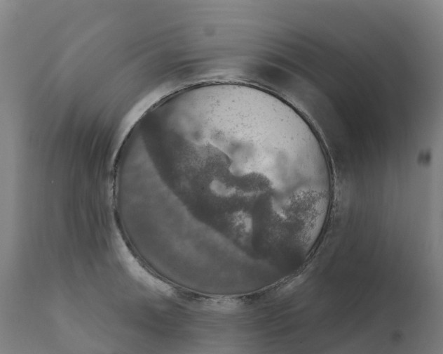 X0000112431090200908281857