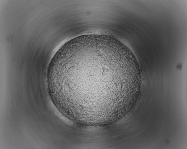 X0000112431091200908281856