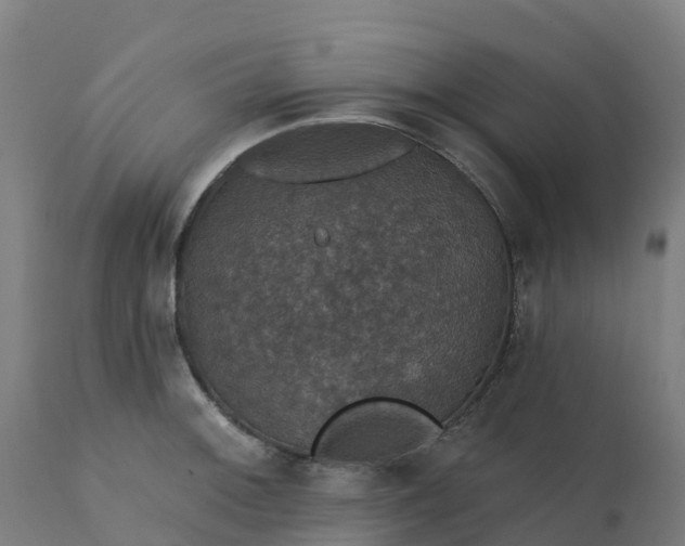 X0000112431092200908281856