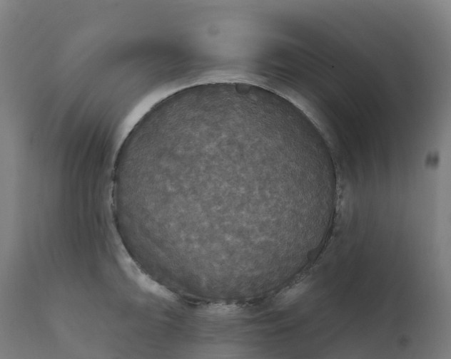 X0000112431094200908281856