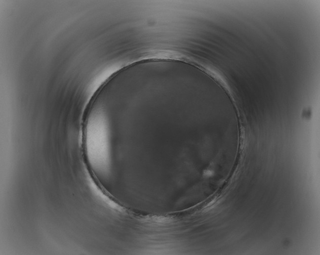 X0000112431095200908281856