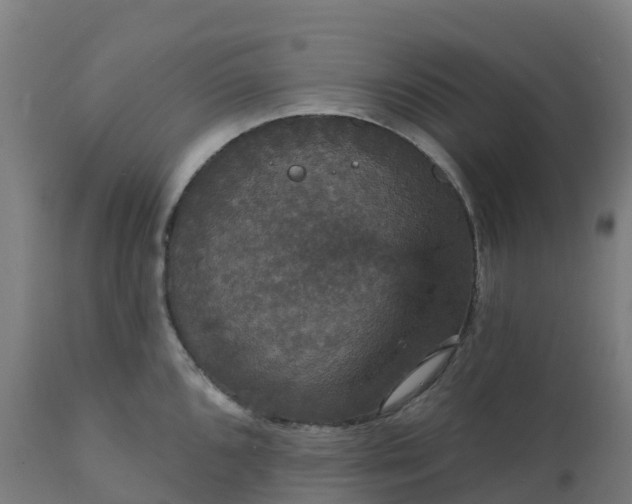 X0000112431096200908281856