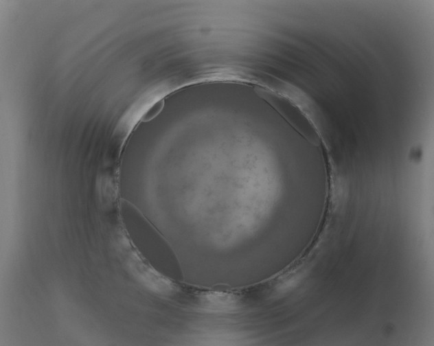 X0000112431097200908281856