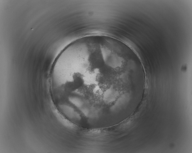 X0000112431098200908281856