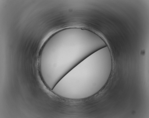 X0000112431099200908281856