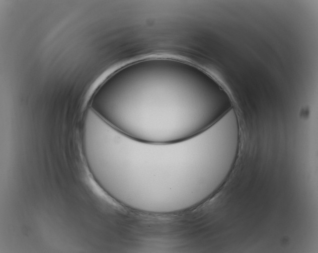 X0000112431100200908281856