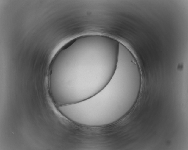 X0000112431101200908281856