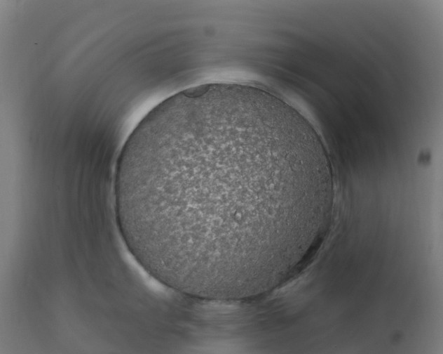 X0000112431103200908281856