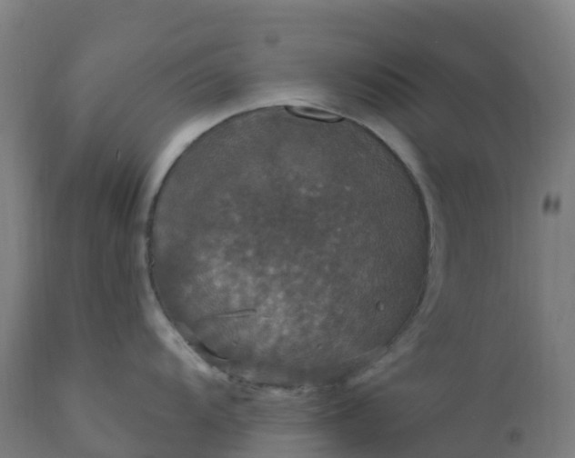 X0000112431104200908281856