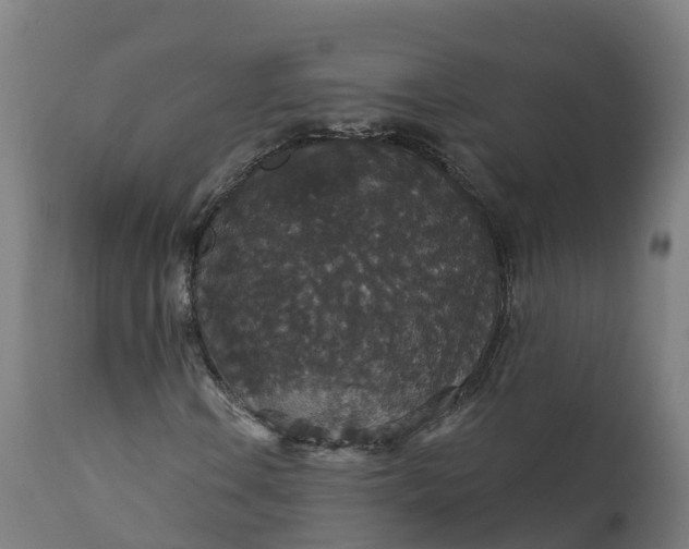 X0000112431106200908281855