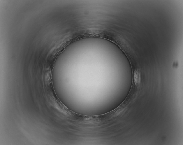 X0000112431107200908281856