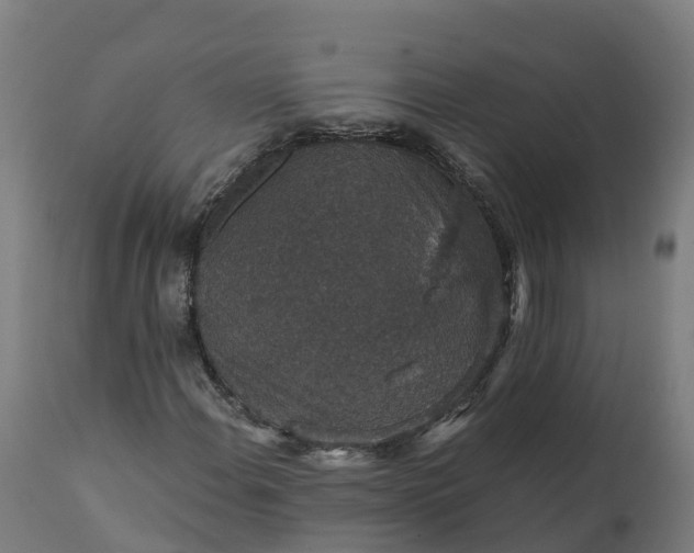 X0000112431108200908281856