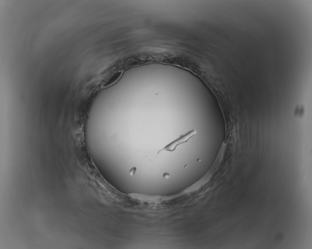 X0000112431109200908281856