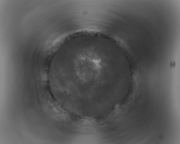 X0000112431110200908281856