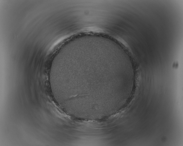 X0000112431112200908281856