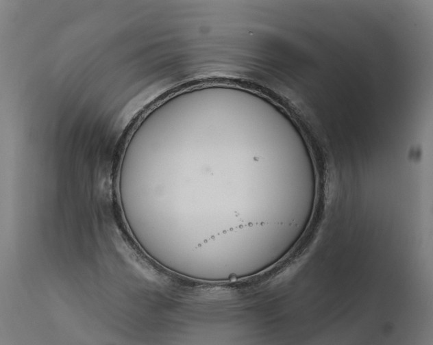 X0000112431113200908281856