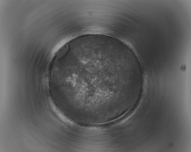 X0000112431114200908281856