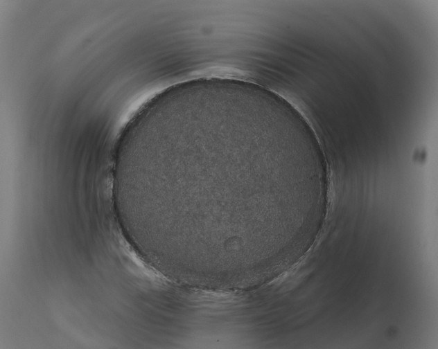 X0000112431115200908281856