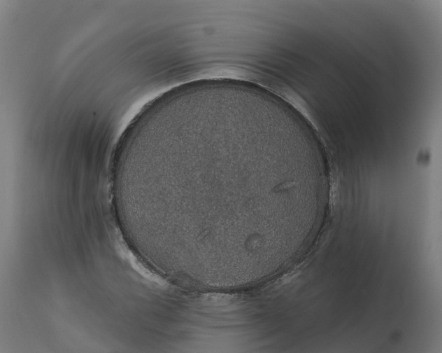 X0000112431116200908281856