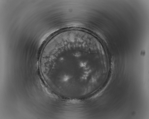 X0000112431117200908281856