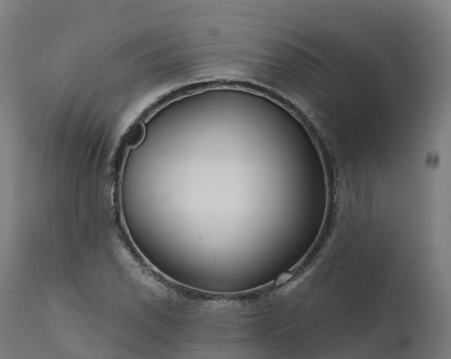 X0000112431118200908281856