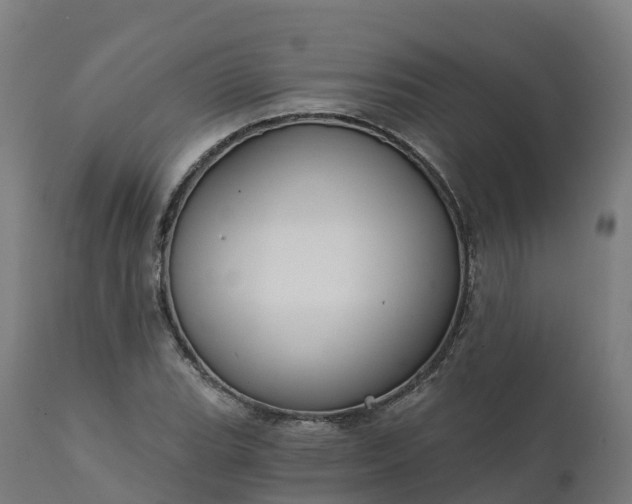 X0000112431119200908281856