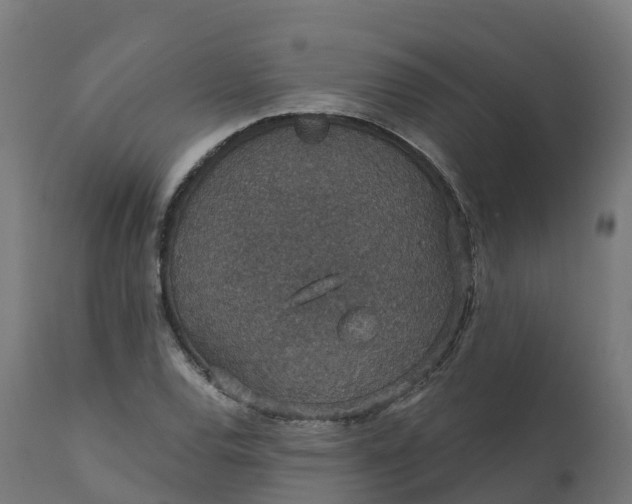 X0000112431120200908281856