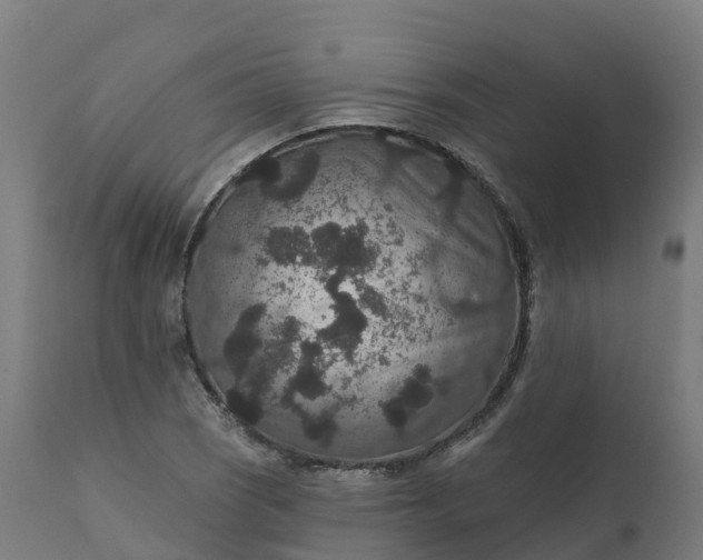 X0000112431121200908281856