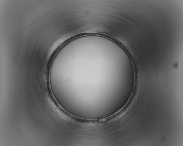 X0000112431122200908281856