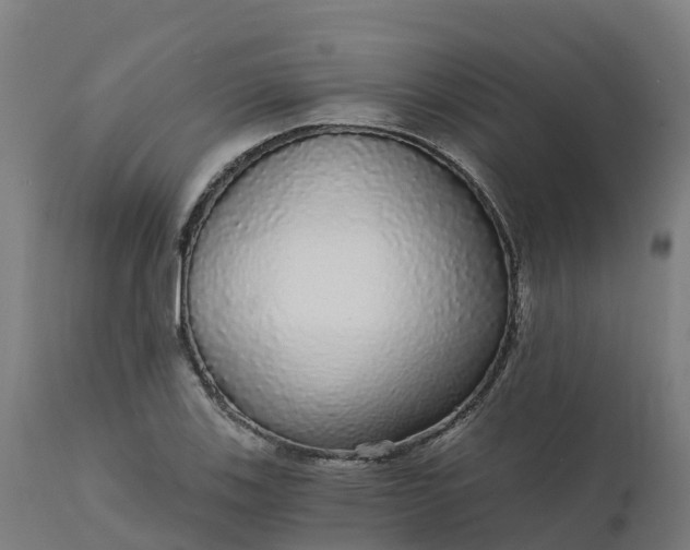 X0000112431123200908281856