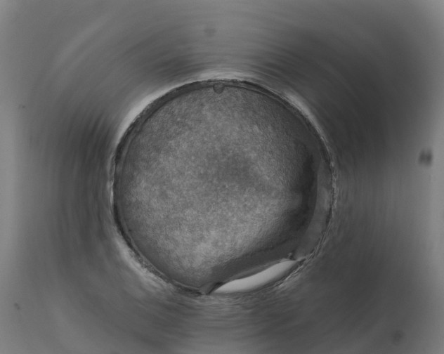 X0000112431124200908281856