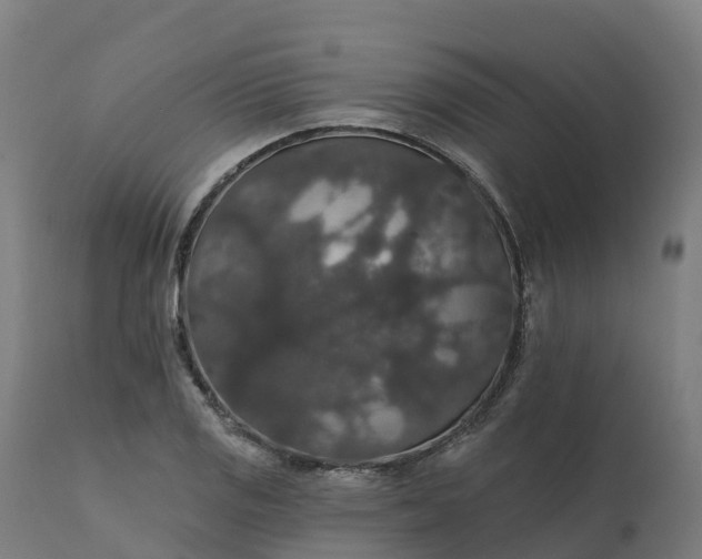 X0000112431125200908281856