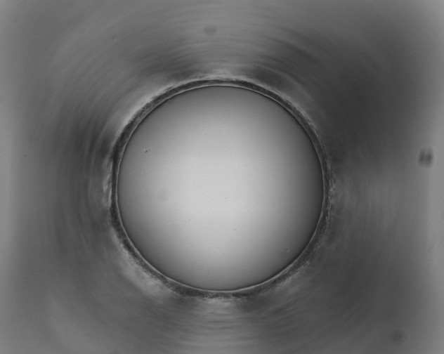 X0000112431126200908281856