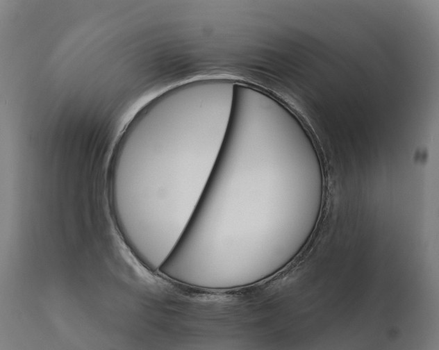 X0000112431127200908281856